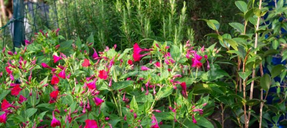 Casa de 1 dormitorio en Genoa, Italy No. 278284 27