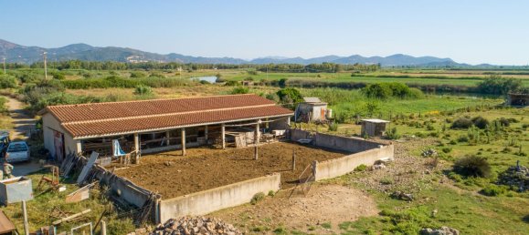 50000m² Land in Sardinia, Italy No. 240689 5