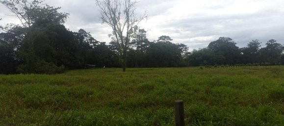  Land in Cariari, Costa Rica No. 1577 2