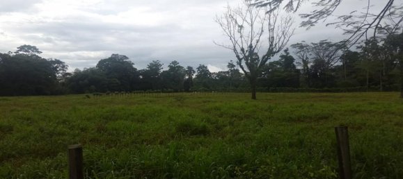  Land in Cariari, Costa Rica No. 1577 3