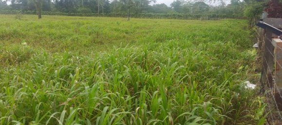  Land in Cariari, Costa Rica No. 1577 4