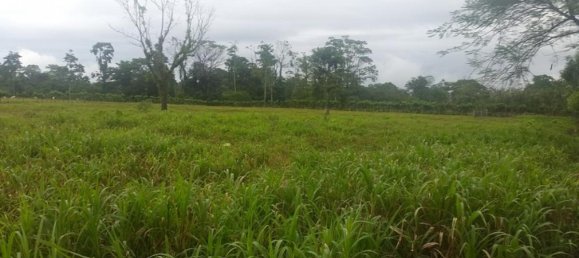  Land in Cariari, Costa Rica No. 1577 5