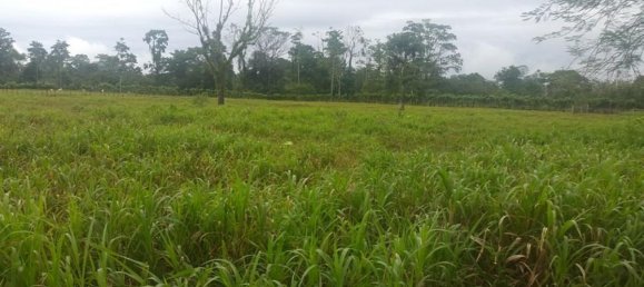  Land in Cariari, Costa Rica No. 1577 6