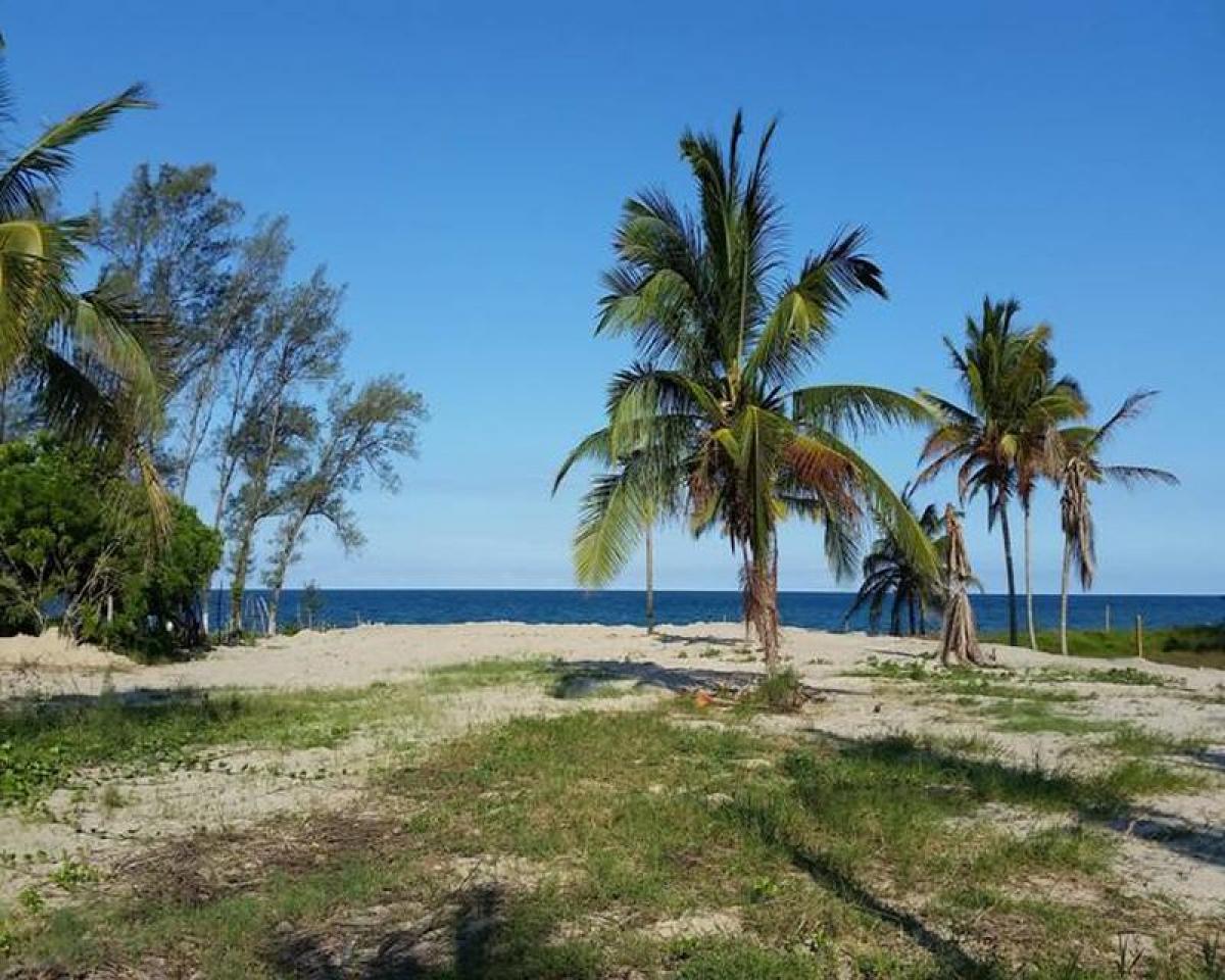  Land in Veracruz, Mexico No. 204140