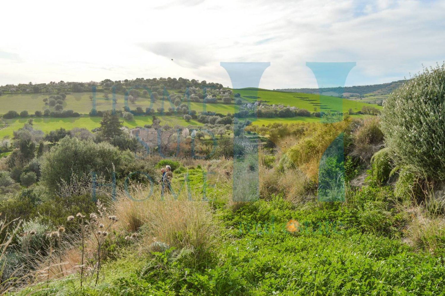 Terreno em Noto, Italy 23000 m² N.º 70251