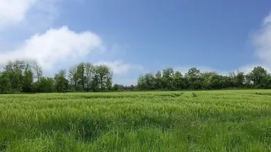 Земельный участок в Тауфкирхен ан дер Прам, Австрия № 92584