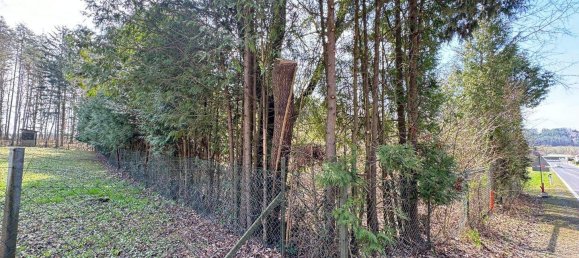 Grundstück in Oberwart, Austria, Nr. 81152 3