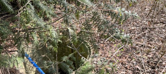 Grundstück in Oberwart, Austria, Nr. 81152 4