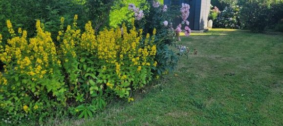 3 Schlafzimmer Haus in Val-de-Saane, France, Nr. 314987 3