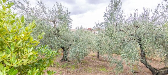 2 rooms House in Rome, Italy No. 117194 24