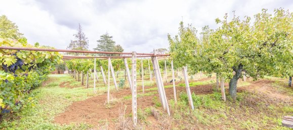 2 rooms House in Rome, Italy No. 117194 29