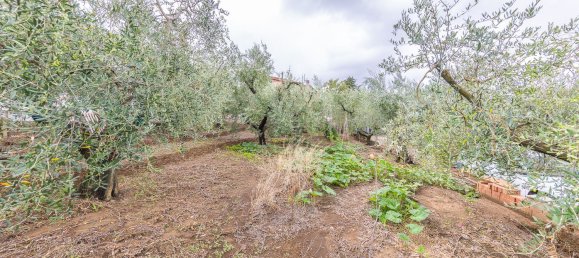 2 rooms House in Rome, Italy No. 117194 25