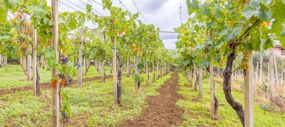 2 rooms House in Rome, Italy No. 117194 31