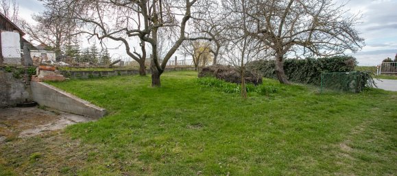 Дом с 3 комнатами в Японс, Австрия № 127142 24