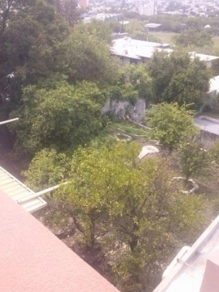  بناية في Nuevo Leon, Mexico 1600متر مربع رقم 201072