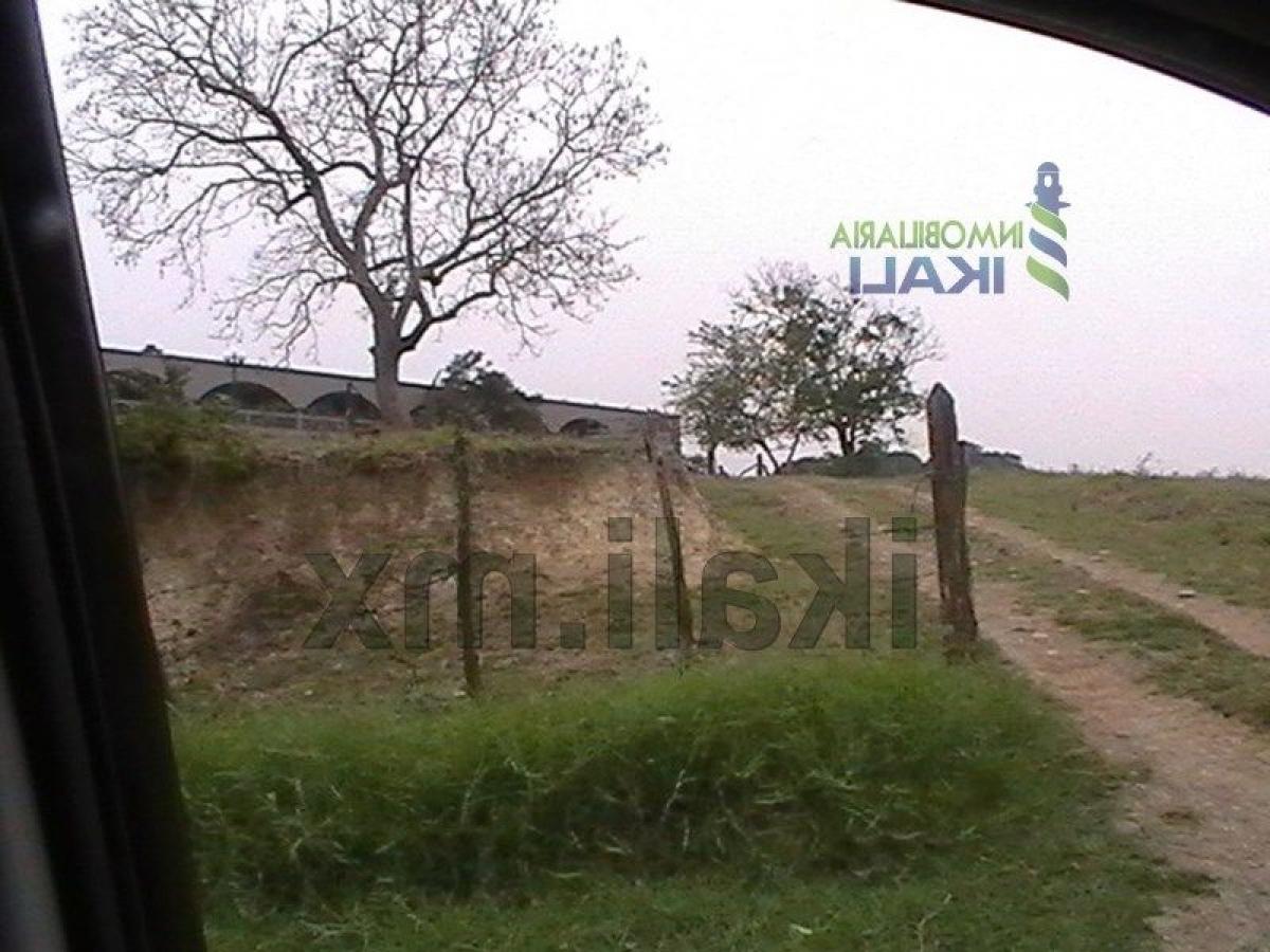  Land in Veracruz, Mexico No. 204634