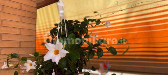 2 Schlafzimmer Wohnung in Rome, Italy, Nr. 315165 27