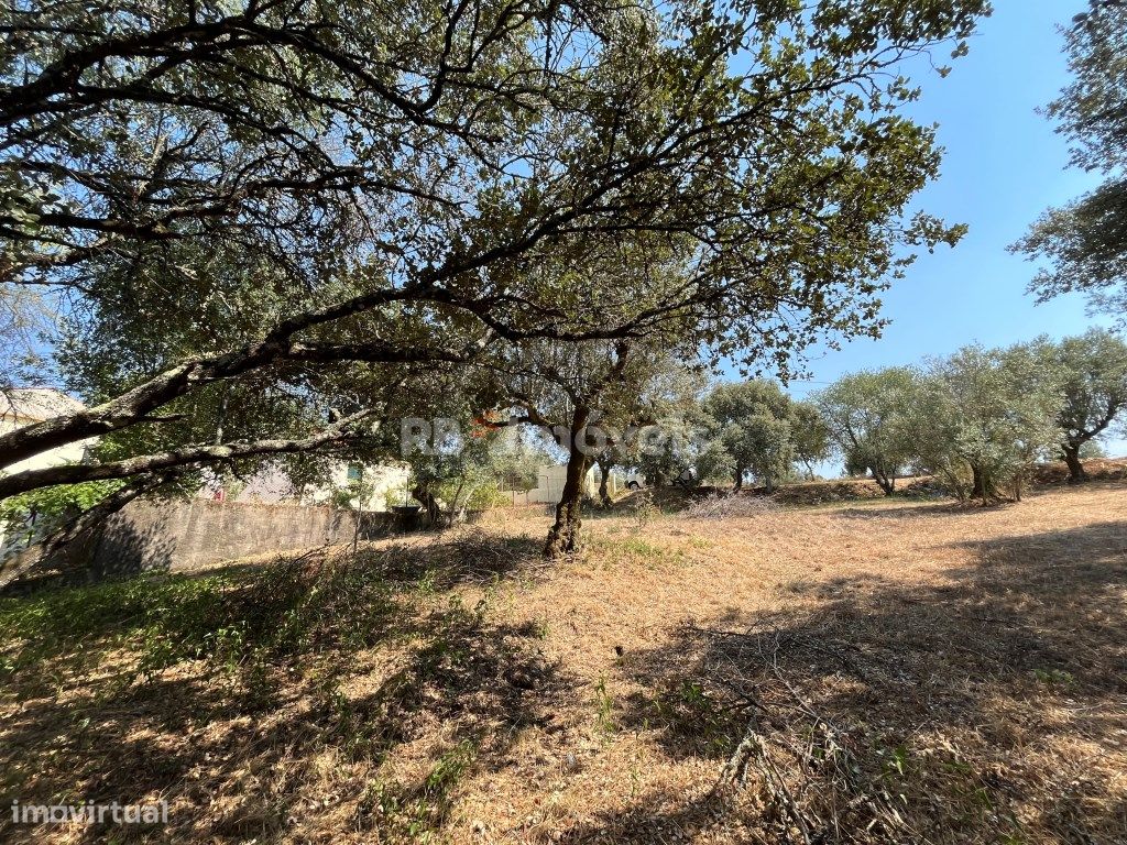  قطعة أرض في Tomar, Portugal 600متر مربع رقم 228110