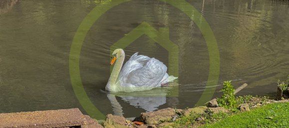 5 Schlafzimmer Haus in Lacroix-sur-Meuse, France, Nr. 236937 16