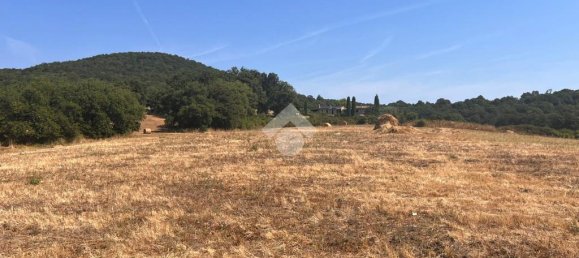 36000m² Land in Trevignano Romano, Italy No. 291908 2