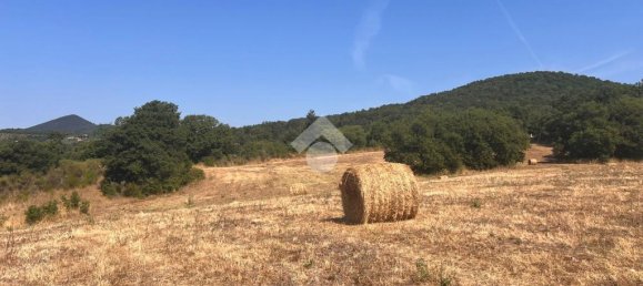36000m² Land in Trevignano Romano, Italy No. 291908 4