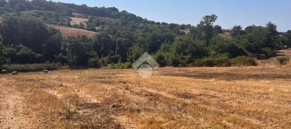 36000m² Land in Trevignano Romano, Italy No. 291908 6