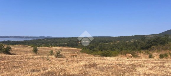 36000m² Land in Trevignano Romano, Italy No. 291908 5