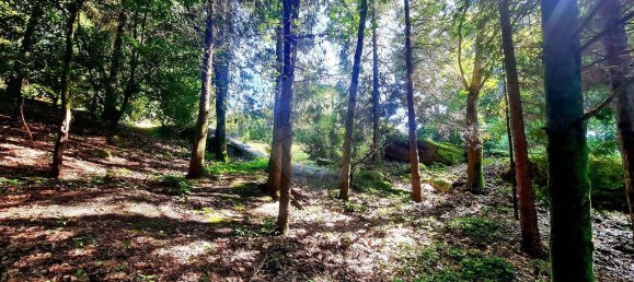 5 غرف نوم منزل في Vieira do Minho, Portugal رقم 184582 50