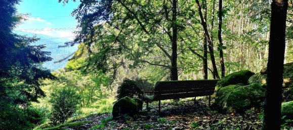 5 غرف نوم منزل في Vieira do Minho, Portugal رقم 184582 43