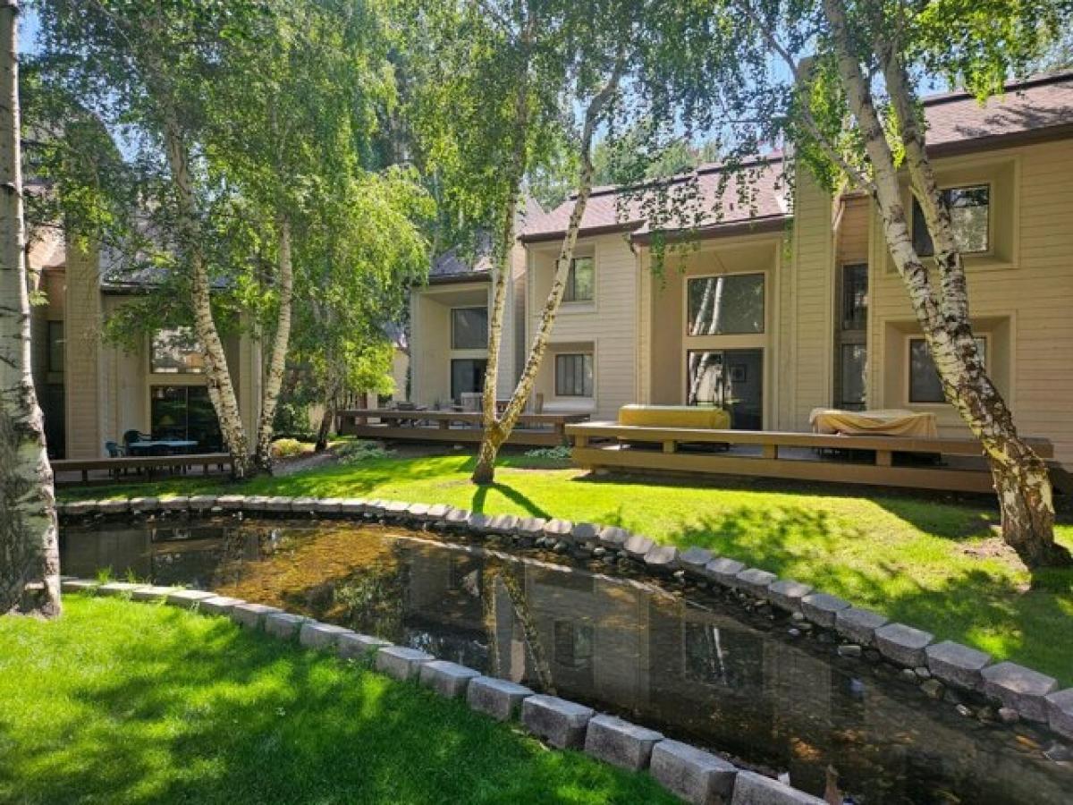 2 bedrooms House in Sun Valley, USA No. 431614