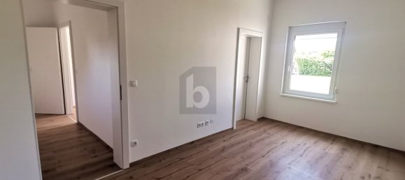 2 rooms House in Sollenau, Austria No. 242714 4
