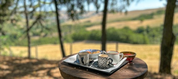 8 bedrooms House in Urbino, Italy No. 342698 7