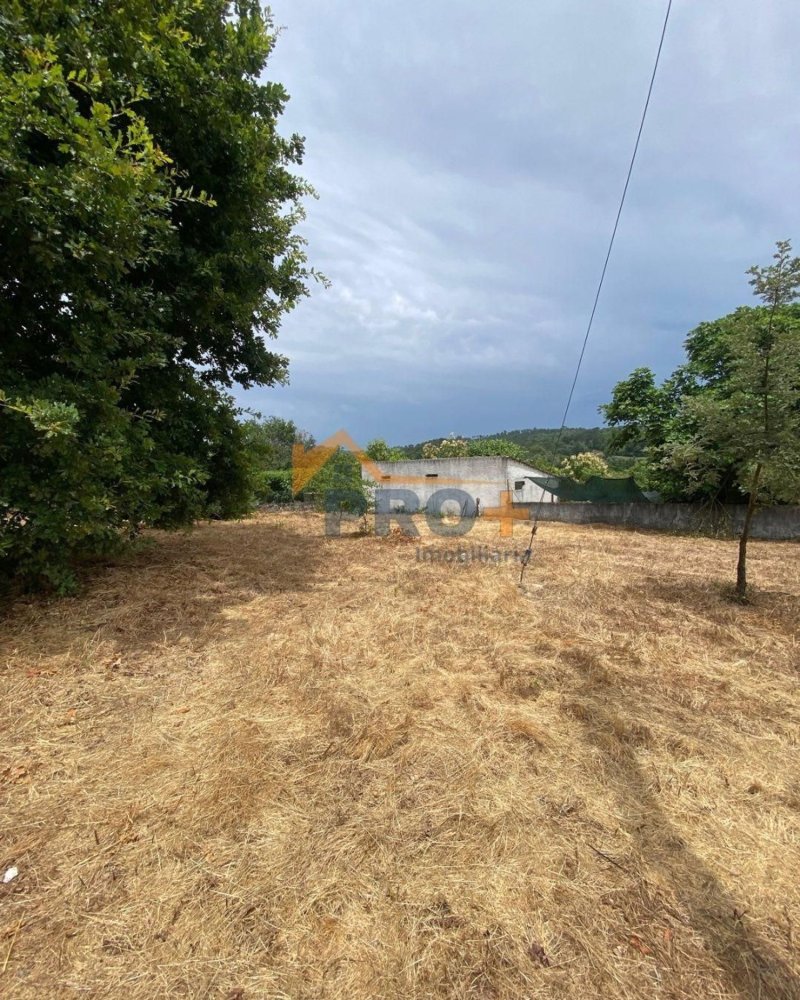  قطعة أرض في Viseu, Portugal رقم 254462