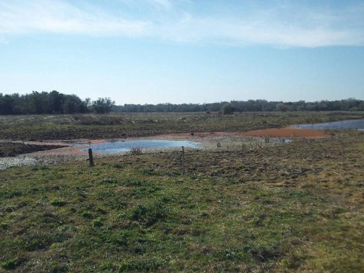 Terrain à Mar del Plata, Argentina No. 112680