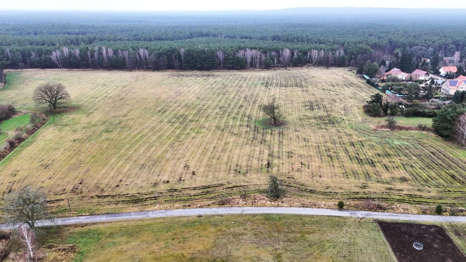 Terrain à Dahme-Spreewald, Germany No. 80039