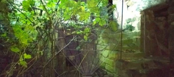 1 Schlafzimmer Haus in Valpacos, Portugal, Nr. 23232 7