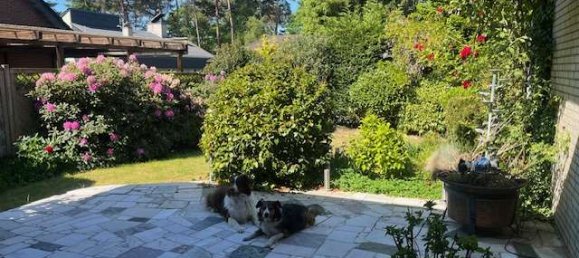 3 bedrooms Bungalow in Emsland, Germany No. 232811 12