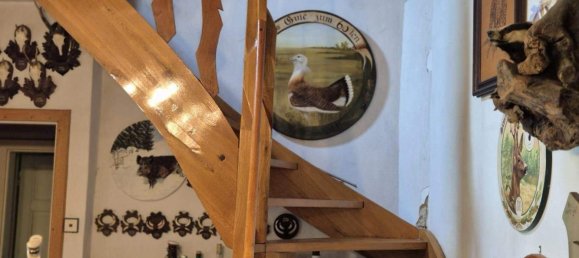 3-salle Maison à Sulz im Weinviertel, Austria No. 221218 12