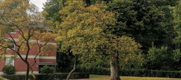 1 bedroom Apartment in Neumunster, Germany No. 321868 4