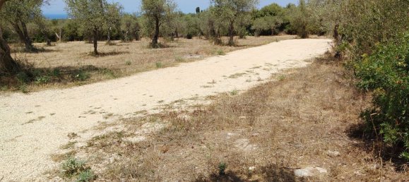 Grundstück in Sassari, Italy 4850m², Nr. 276446 5