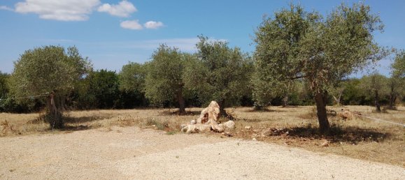 Grundstück in Sassari, Italy 4850m², Nr. 276446 4