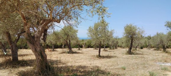 Grundstück in Sassari, Italy 4850m², Nr. 276446 3