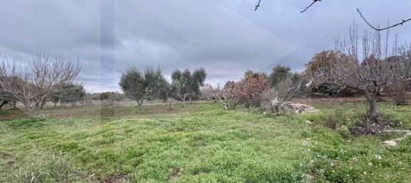 3 rooms House in Ceglie Messapica, Italy No. 18313 14