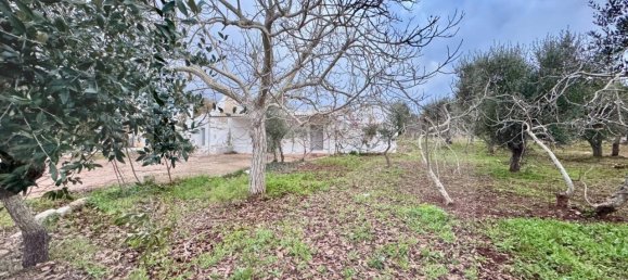 3 rooms House in Ceglie Messapica, Italy No. 18313 15