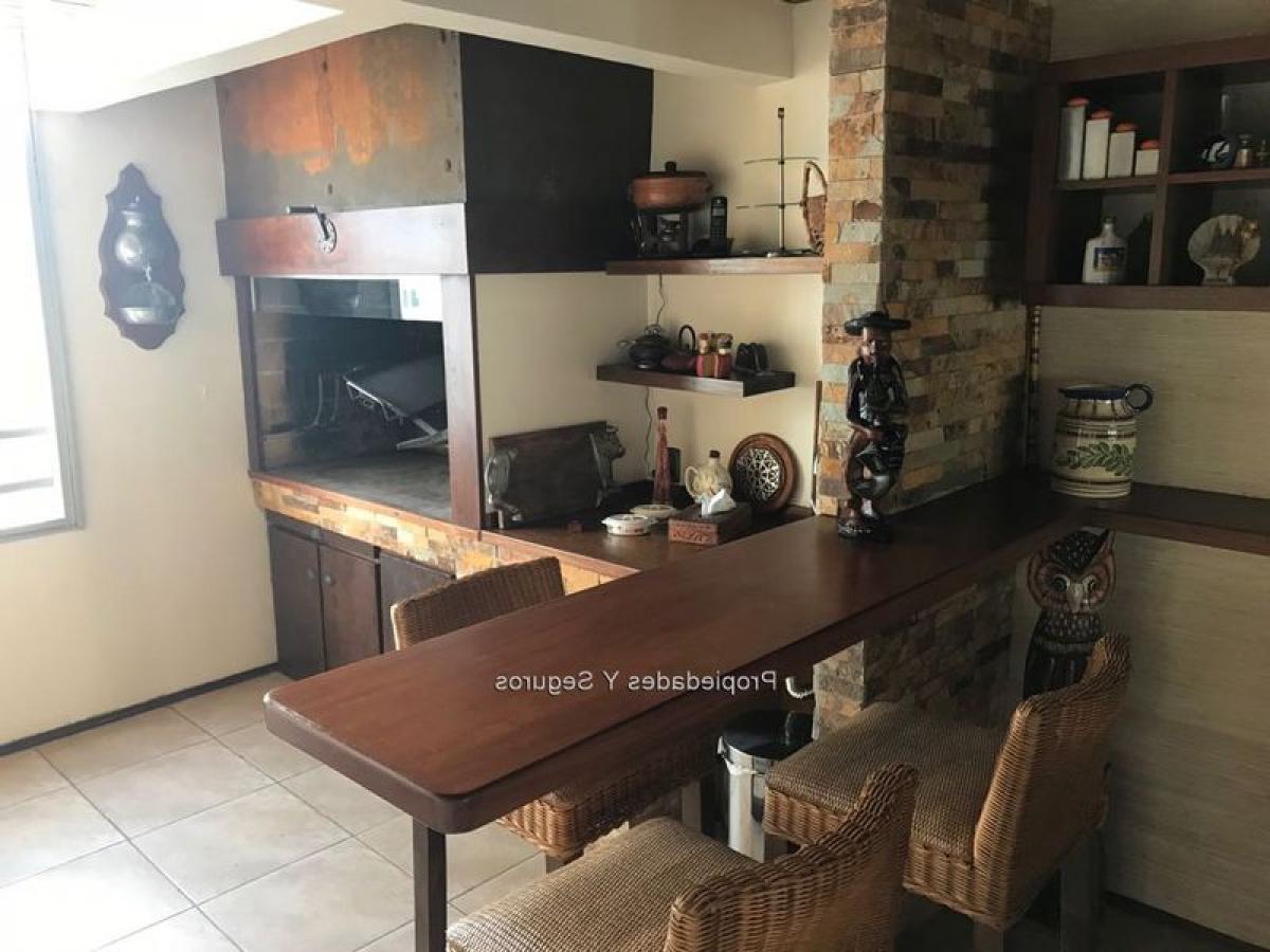 4 غرف نوم شقة في Montevideo, Uruguay رقم 10333