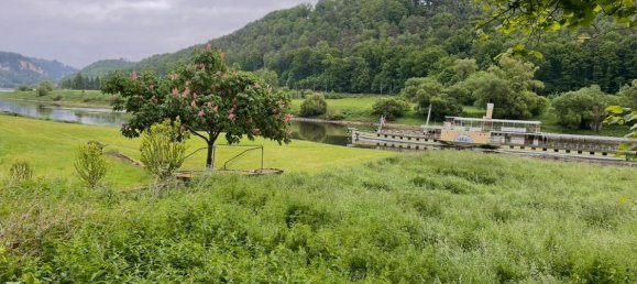  قطعة أرض في Sachsische Schweiz-Osterzgebirge, Germany رقم 258191 12