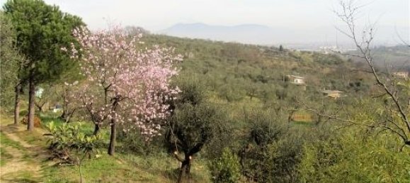 Grundstück in Lastra a Signa, Italy 20000m², Nr. 17620 5