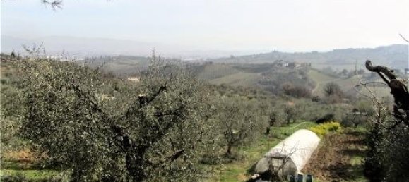 Grundstück in Lastra a Signa, Italy 20000m², Nr. 17620 6