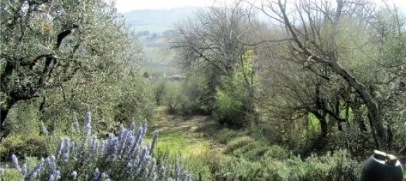 Grundstück in Lastra a Signa, Italy 20000m², Nr. 17620 10