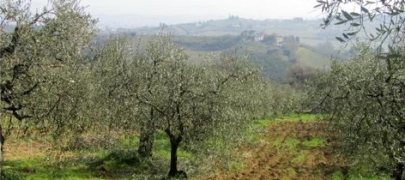 Grundstück in Lastra a Signa, Italy 20000m², Nr. 17620 8